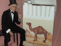 Camel Cigarettes